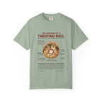 "Anatomy of a Takoyaki" T-Shirt - Japanese Street Food Science Crewneck