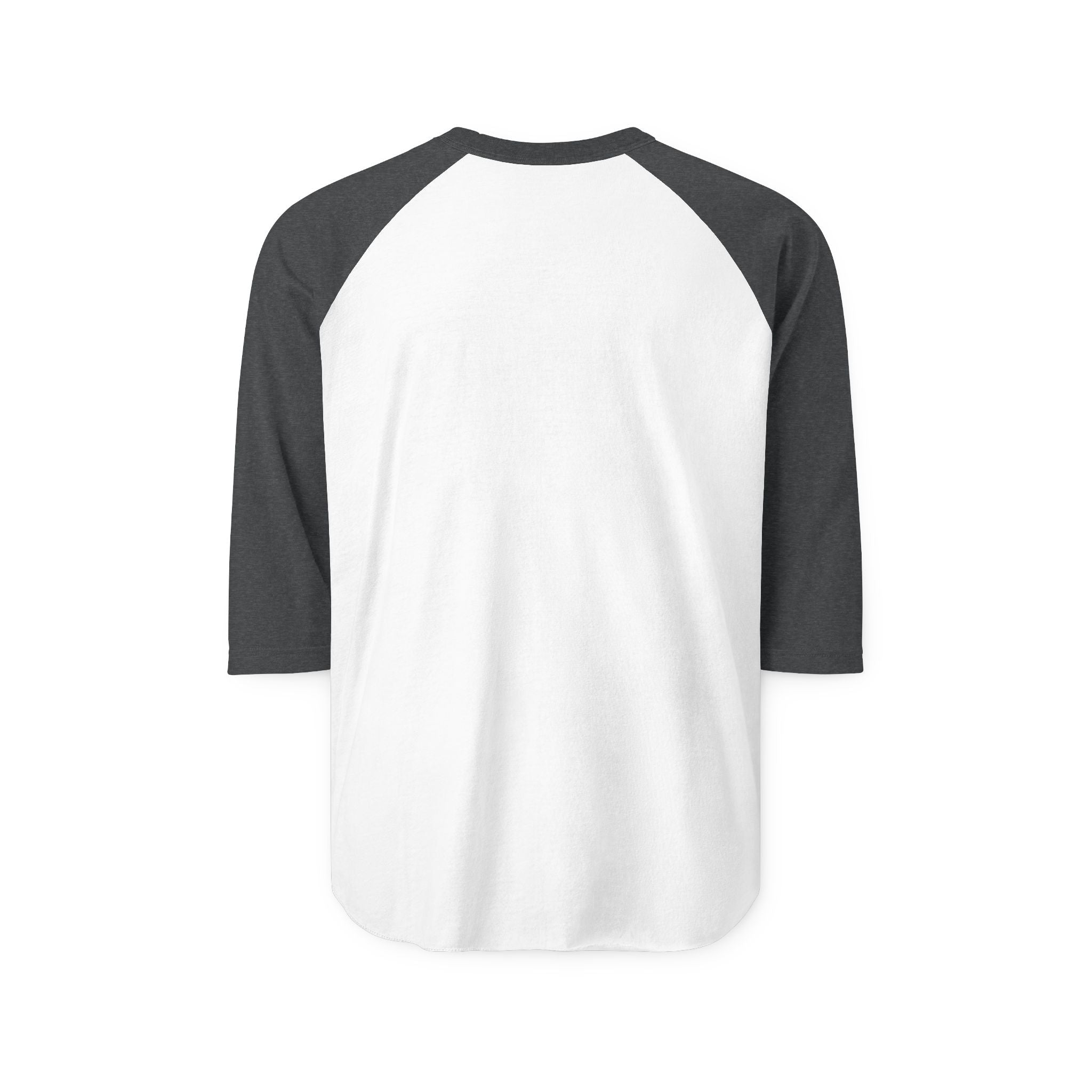 "Anatomy of a Sushi Roll" Raglan Tee - Vintage Japanese Science Baseball Shirt