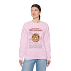 "Anatomy of a Takoyaki" Sweatshirt - Japanese Street Food Science Crewneck